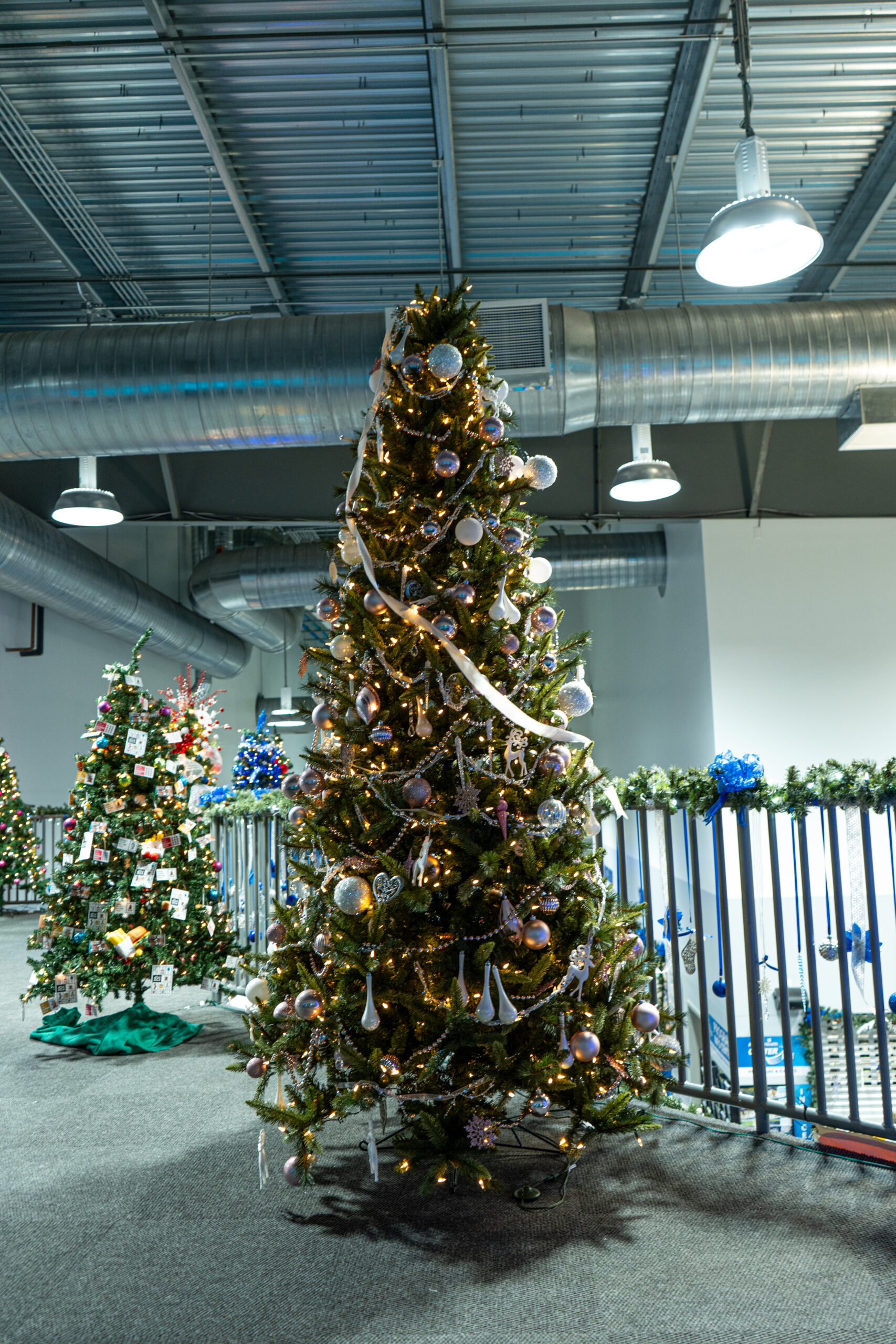 120223 AHCI Tree Lighting-422